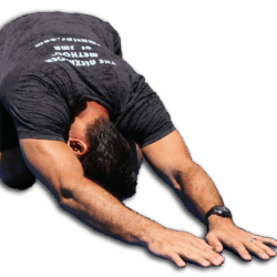 cc-1a-IMG_0272a.png