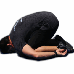 chps-1a-IMG_0351.png