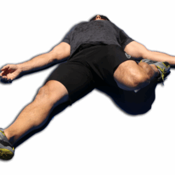 shrdl-1c-IMG_0328.png
